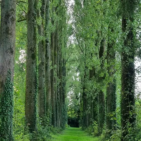 Domaine Des Chanoines Blancs * Gouy-Saint-André