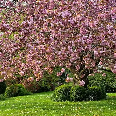 Domaine Des Chanoines Blancs Apartman Gouy-Saint-André