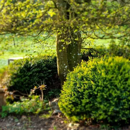 Domaine Des Chanoines Blancs